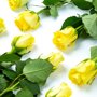 Brievenbus Rozen geel liggend